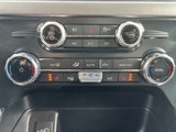 New 2025 Ford F150 XLT w/ Equipment Group 302A MID image 6