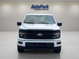 New 2025 Ford F150 XLT w/ Equipment Group 302A MID image 2