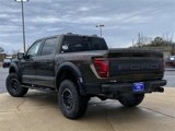 New 2025 Ford F150 Raptor image 5