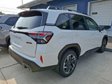 New 2025 Subaru Forester Limited image 4