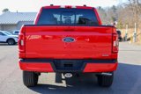 Certified 2022 Ford F150 XLT w/ Equipment Group 302A High image 6