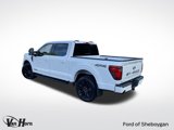 New 2025 Ford F150 XLT image 4