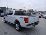 New 2025 Ford F150 XLT w/ Equipment Group 303A High image 5