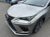 Used 2019 Lexus NX 300 F Sport w/ F Sport Premium Package image 3