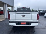 New 2025 Ford F150 Platinum image 4
