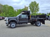 New 2025 Ford F550 4x4 Regular Cab Super Duty image 4