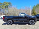New 2025 Ford F250 XLT image 3