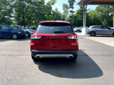 Used 2022 Ford Escape SE w/ Convenience Package image 4