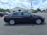 Used 2024 Chevrolet Malibu LT image 5