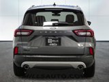 Certified 2023 Ford Escape Platinum image 6