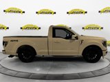 New 2025 Ford F150 XL w/ Equipment Group 103A High image 6