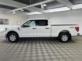 Used 2023 Ford F150 XLT image 4