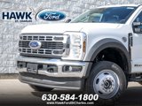 New 2025 Ford F450 XL image 2