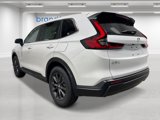 New 2026 Honda CR-V EX-L image 3