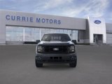 New 2025 Ford F150 XLT w/ Equipment Group 303A High image 6