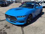 Used 2024 Ford Mustang Premium image 2