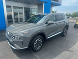 Used 2023 Hyundai Santa Fe Blue image 2