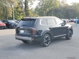 New 2025 Kia Telluride EX image 2