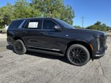 New 2025 Cadillac Escalade Luxury image 6