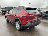 Used 2025 Toyota RAV4 XLE Premium image 4