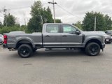 New 2025 Ford F250 XL image 4