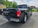 Used 2017 Ford F150 XLT w/ Equipment Group 302A Luxury image 3