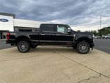 New 2025 Ford F250 Platinum image 2