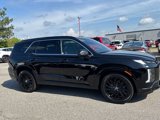 New 2025 Hyundai Palisade Calligraphy image 2