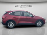 Used 2020 Ford Escape SE image 6