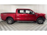 Certified 2022 Ford F150 XLT w/ Equipment Group 302A High image 3