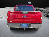 Certified 2019 Ford F150 XLT w/ Equipment Group 302A Luxury image 5