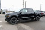 New 2025 Ford F150 XLT w/ Equipment Group 302A MID image 4