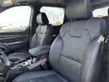 New 2025 Kia Telluride SX X-Line image 6
