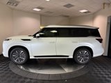 New 2025 INFINITI QX80 Sensory image 5