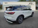New 2025 INFINITI QX60 Autograph w/ Cargo Package image 5