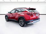 Used 2025 Hyundai Tucson SEL image 6