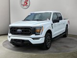 Used 2023 Ford F150 XLT w/ Equipment Group 302A High image 3