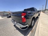 Used 2019 Chevrolet Silverado 1500 LT w/ All-Star Edition image 4