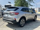 Used 2021 Ford Escape SEL image 5