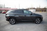 Used 2023 Hyundai Tucson Limited image 2