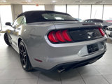 Used 2023 Ford Mustang Premium image 5