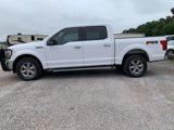 Used 2019 Ford F150 XLT w/ Equipment Group 302A Luxury image 2