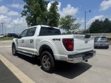 Used 2025 Ford F150 XLT w/ Equipment Group 301A Standard image 5