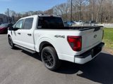 New 2025 Ford F150 STX w/ STX Black Appearance Package image 4