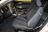 Used 2019 Ford Mustang Coupe image 4