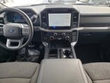 New 2025 Ford F150 XLT image 2