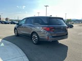 New 2026 Honda Odyssey EX-L image 6