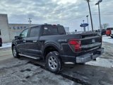 New 2025 Ford F150 XLT w/ Equipment Group 302A MID image 3