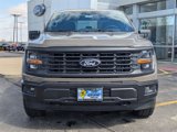 New 2025 Ford F150 STX w/ Equipment Group 201A FX4 image 3