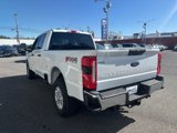 New 2025 Ford F250 XL w/ 360-Degree Camera Package image 5